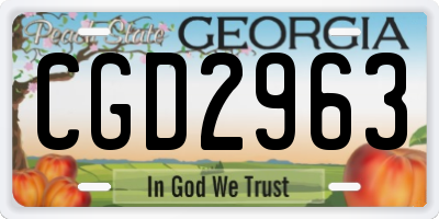 GA license plate CGD2963