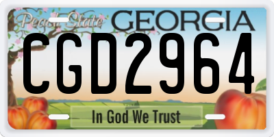 GA license plate CGD2964