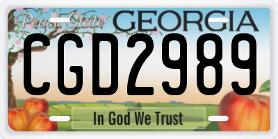 GA license plate CGD2989