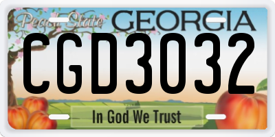 GA license plate CGD3032