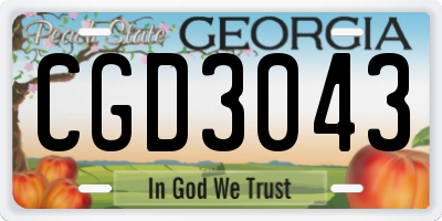 GA license plate CGD3043
