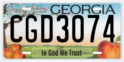 GA license plate CGD3074
