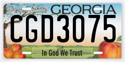 GA license plate CGD3075