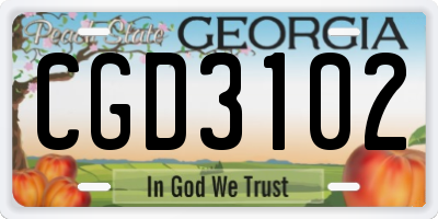 GA license plate CGD3102