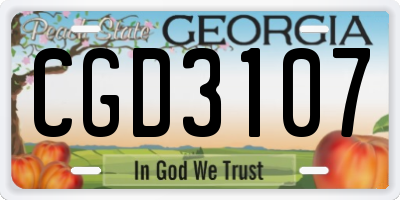 GA license plate CGD3107