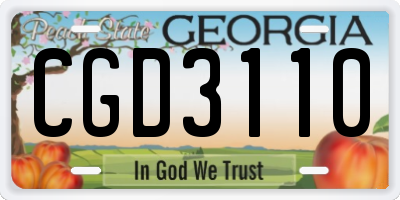 GA license plate CGD3110