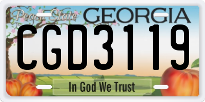 GA license plate CGD3119
