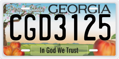 GA license plate CGD3125
