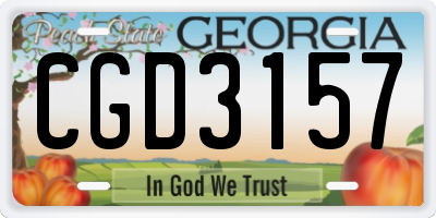 GA license plate CGD3157