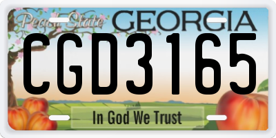 GA license plate CGD3165