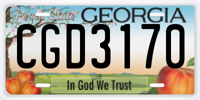 GA license plate CGD3170