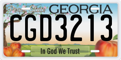 GA license plate CGD3213