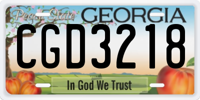 GA license plate CGD3218