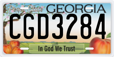 GA license plate CGD3284