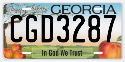 GA license plate CGD3287