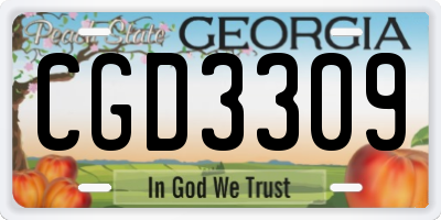 GA license plate CGD3309