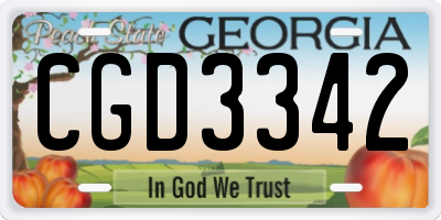 GA license plate CGD3342