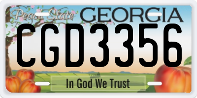 GA license plate CGD3356