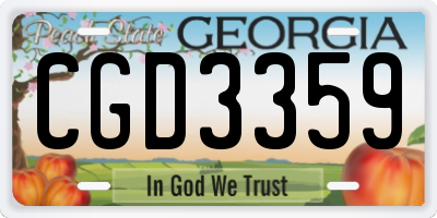 GA license plate CGD3359