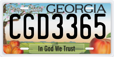 GA license plate CGD3365