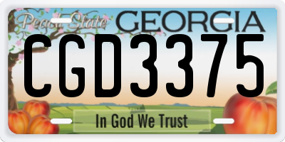 GA license plate CGD3375
