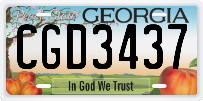 GA license plate CGD3437