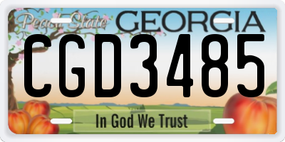 GA license plate CGD3485