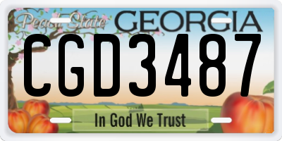 GA license plate CGD3487