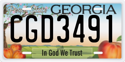 GA license plate CGD3491