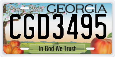 GA license plate CGD3495