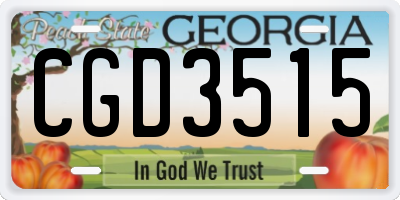 GA license plate CGD3515