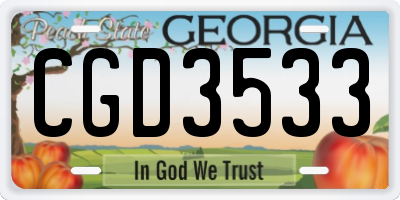 GA license plate CGD3533