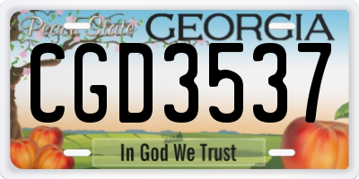 GA license plate CGD3537