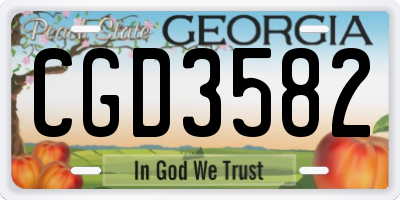 GA license plate CGD3582