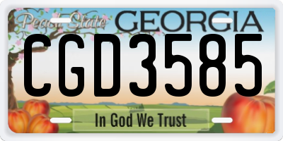 GA license plate CGD3585