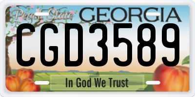 GA license plate CGD3589