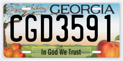 GA license plate CGD3591