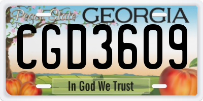 GA license plate CGD3609