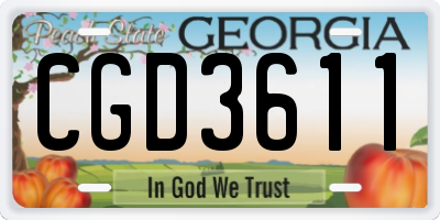 GA license plate CGD3611