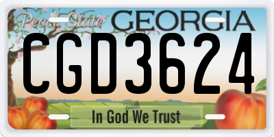 GA license plate CGD3624