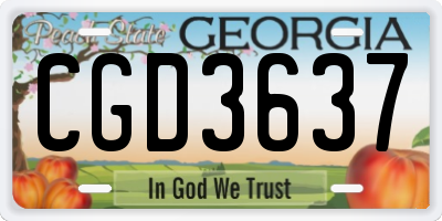 GA license plate CGD3637