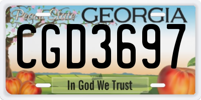 GA license plate CGD3697