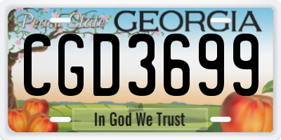 GA license plate CGD3699