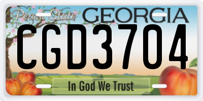GA license plate CGD3704