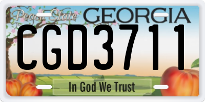 GA license plate CGD3711