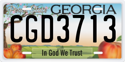 GA license plate CGD3713