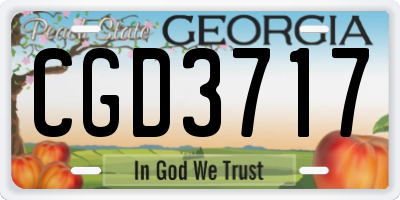 GA license plate CGD3717