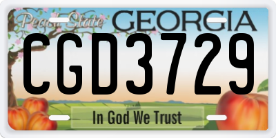 GA license plate CGD3729