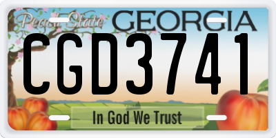 GA license plate CGD3741