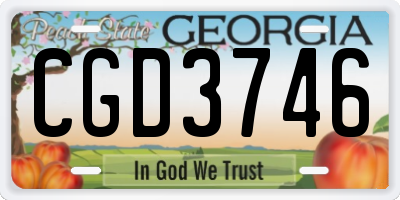 GA license plate CGD3746